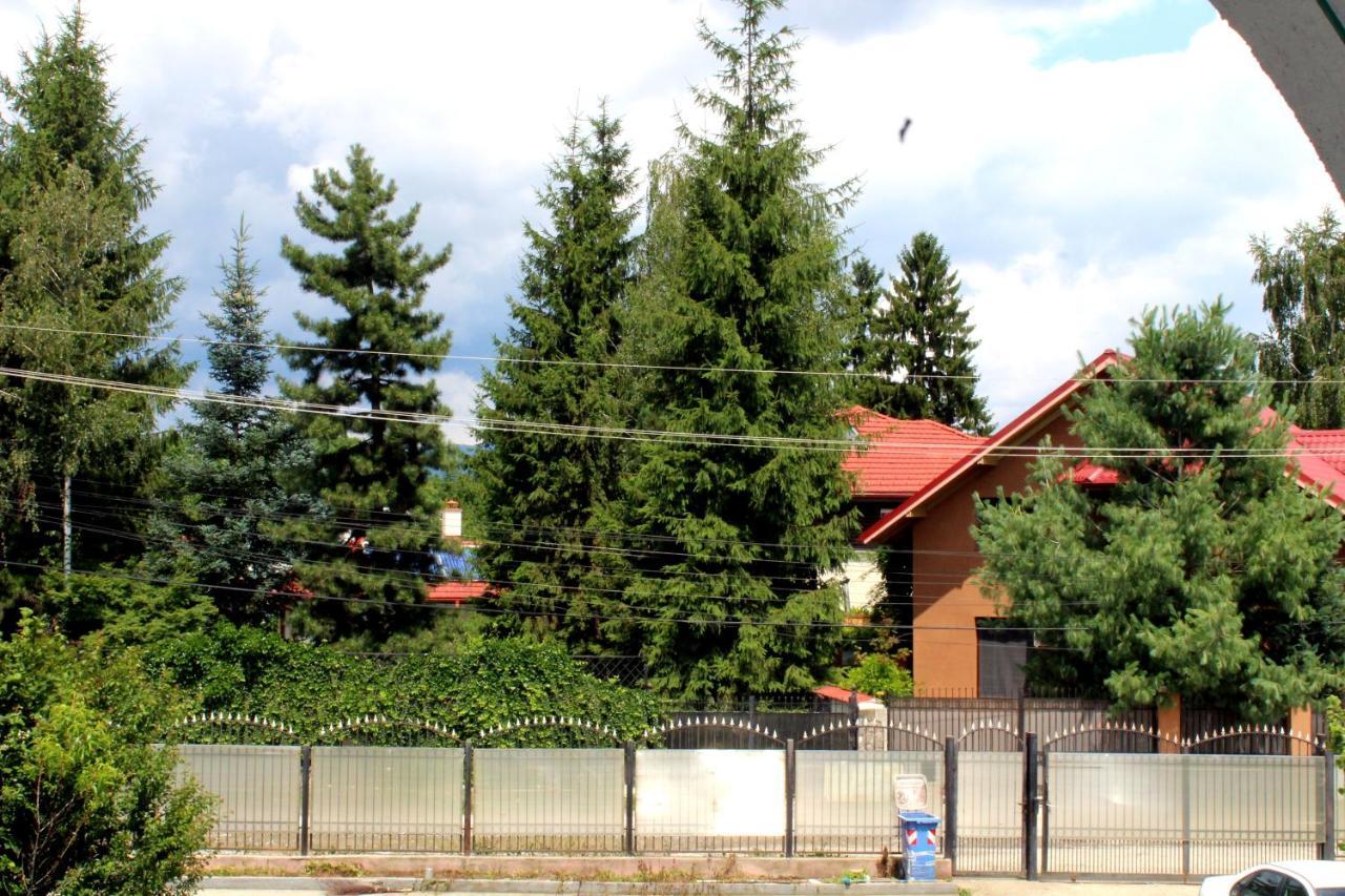 Hotel Anuta Breaza  Exteriér fotografie