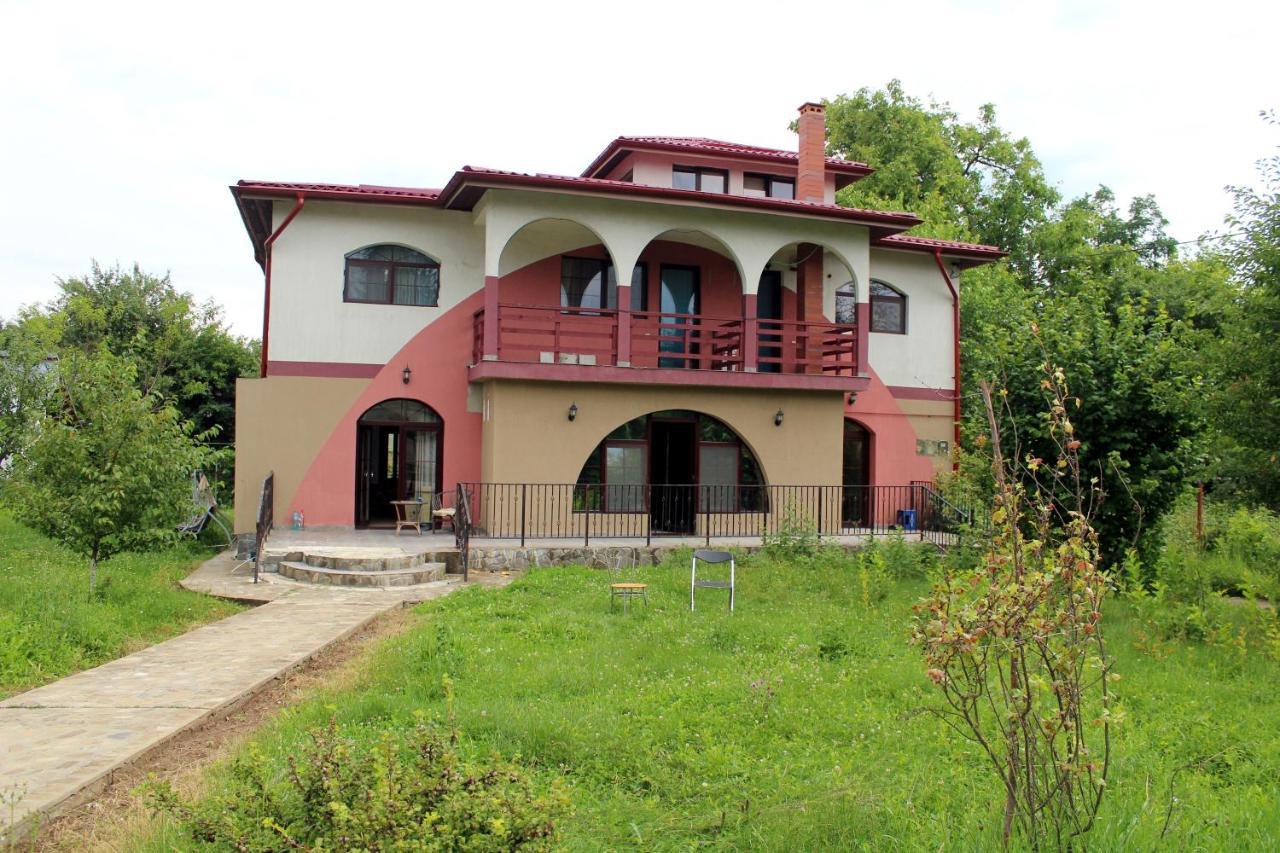 Hotel Anuta Breaza  Exteriér fotografie
